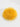 Ricciocaprese Riccio Decor Yellow