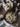Maison De La Truffe Summer Truffle Tagliatelle | C