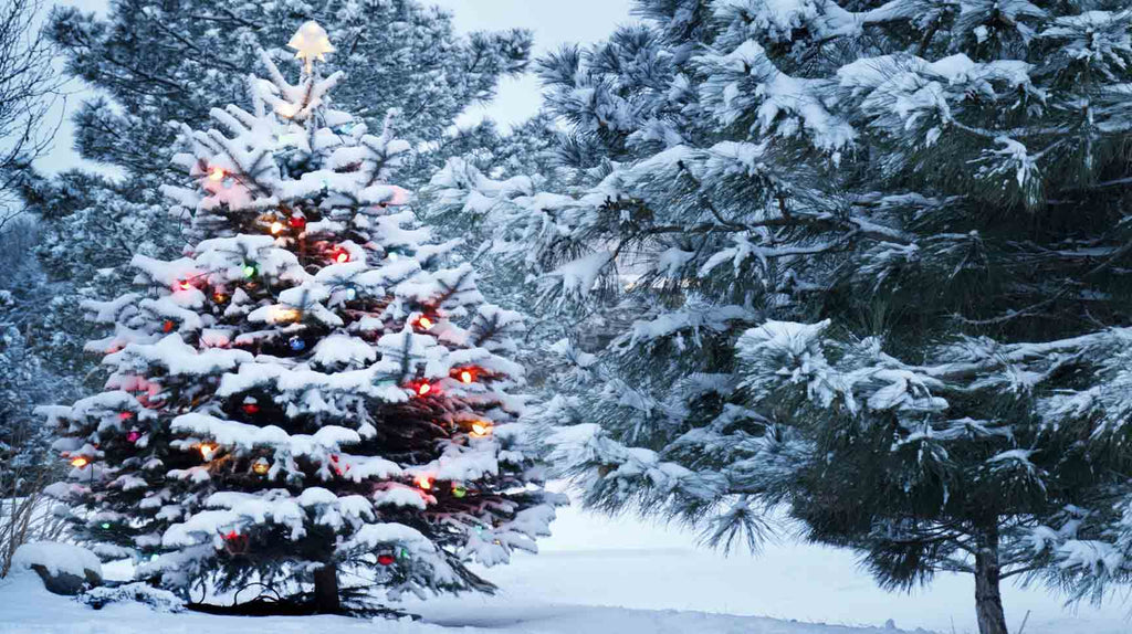 Christmas 2017 Must Haves - Blog | The Project Garments