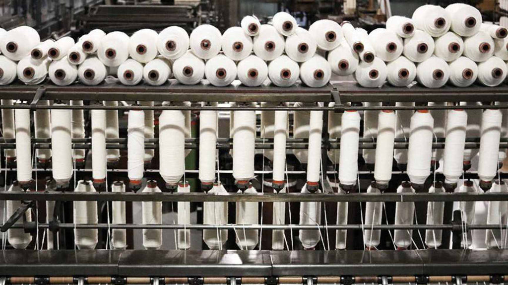 Organic Cotton | The Project Garments