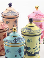 Ginori 1735 Porcelain Pharmacy Vase Oriente Italiano Iris