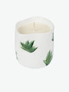 Rhea Kalo Squashed Plants Candle Large