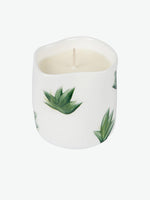 Rhea Kalo Squashed Plants Candle Large