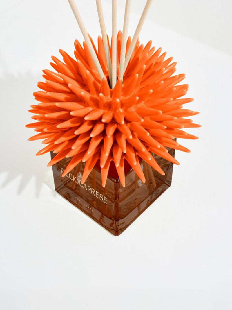 Ricciocaprese Riccio Orange Cocco Le Perfume Diffuser