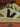 Veja V-10 Leather White Black Kiwi