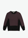 Horizontal Color Block Crew Neck Sweatshirt Burgundy | A