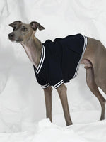 Poldo Dog Couture Baseball Bomber Jacket Navy | B