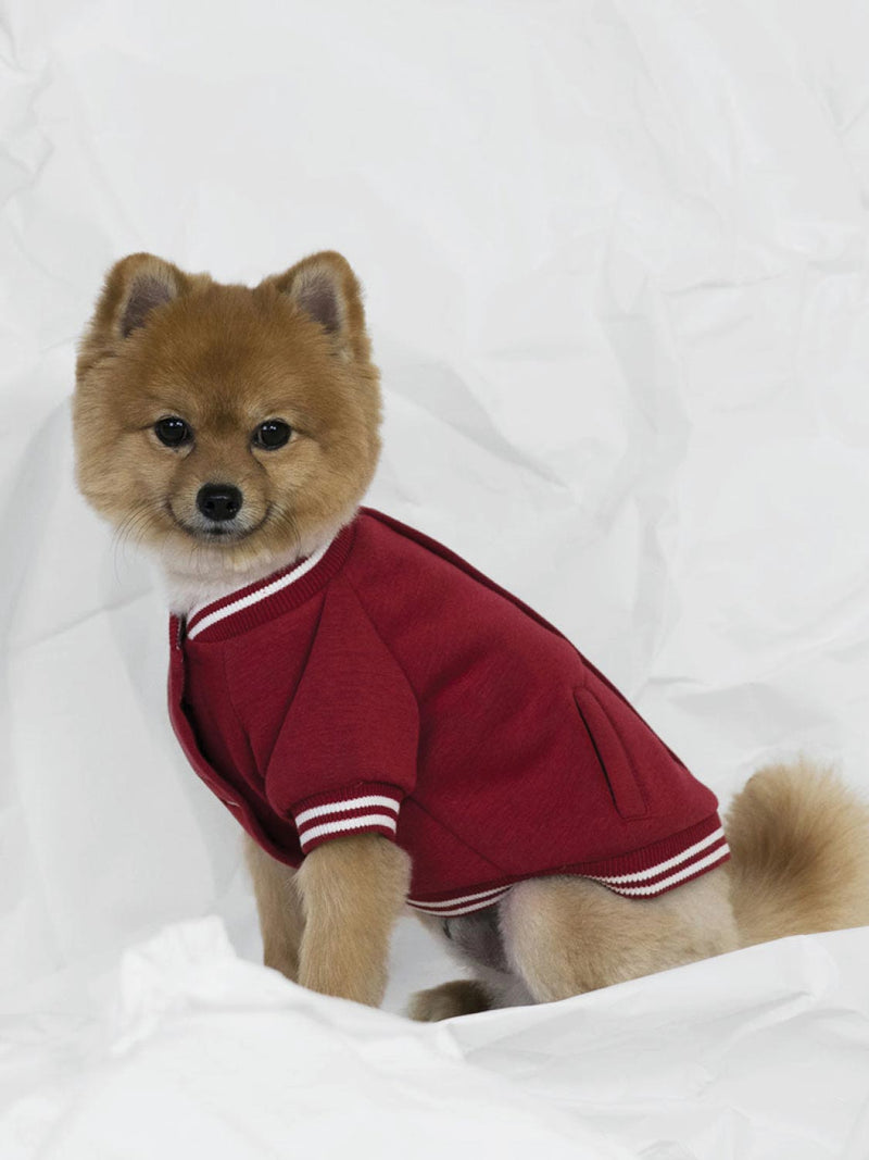 Poldo Dog Couture Baseball Bomber Jacket Red
