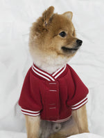 Poldo Dog Couture Baseball Bomber Jacket Red
