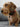 Poldo Dog Couture Portofino Dog Collar | B