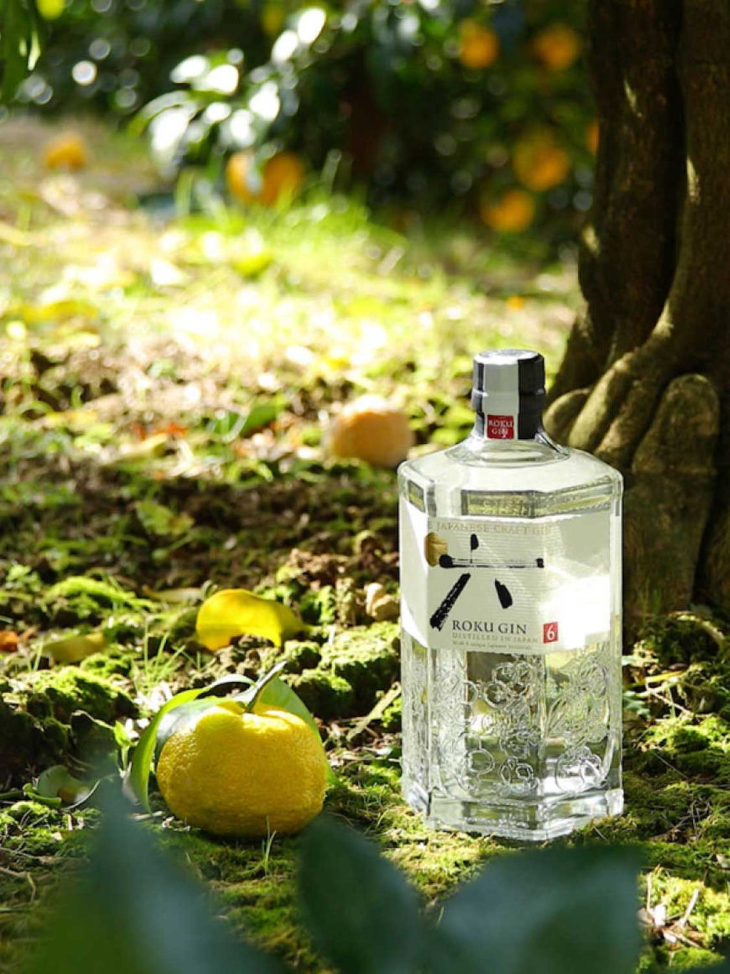 Suntory Roku Japanese Craft Gin