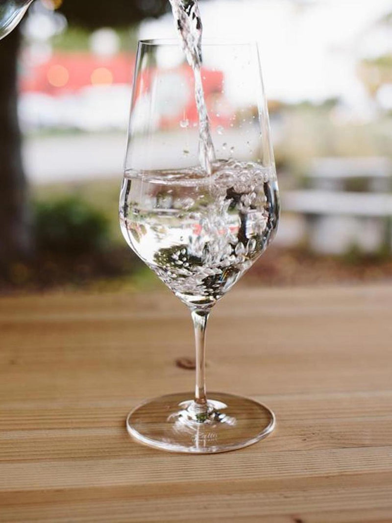 Zalto Water Denk’Art Glass